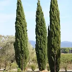 Apartament Podere Campo Alle Serpi