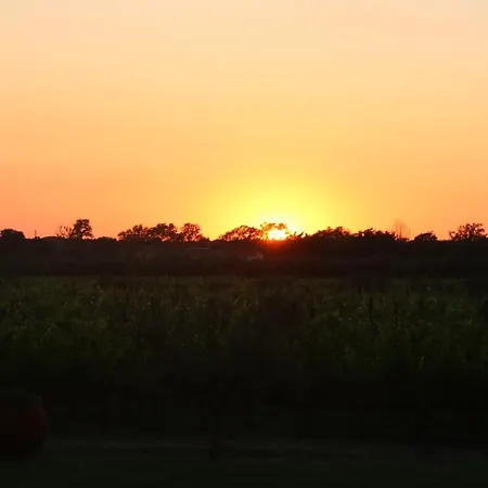 Podere Campo Alle Serpi