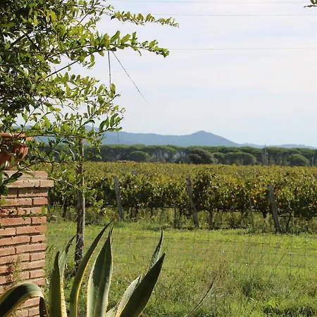 Apartman Podere Campo Alle Serpi Bibbona
