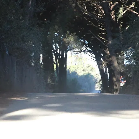 Podere Campo Alle Serpi