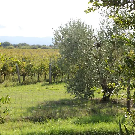 Podere Campo Alle Serpi Apartman Bibbona