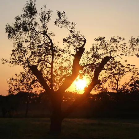 Apartamento Podere Campo Alle Serpi