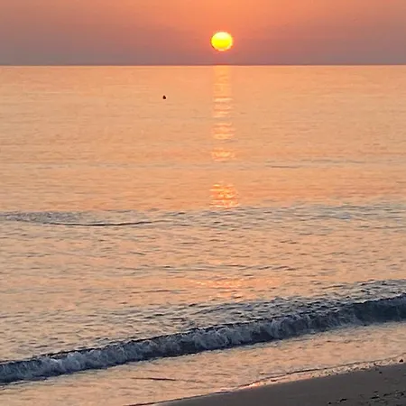 Podere Campo Alle Serpi 아파트 비보나