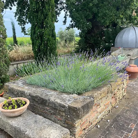 Podere Campo Alle Serpi * Bibbona