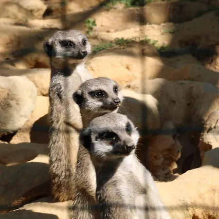 아파트 Podere Campo Alle Serpi