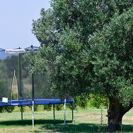 Podere Campo Alle Serpi Apartamento