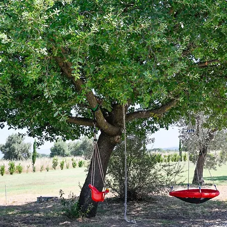 Podere Campo Alle Serpi 아파트 *