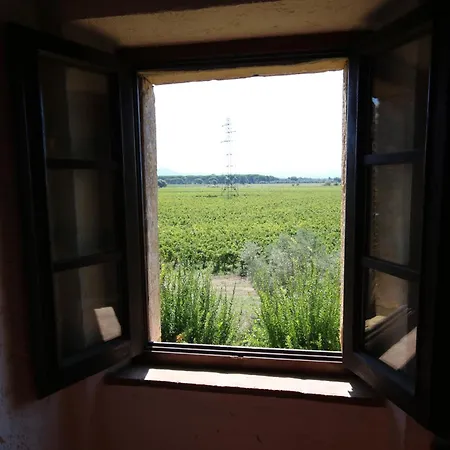 Podere Campo Alle Serpi *