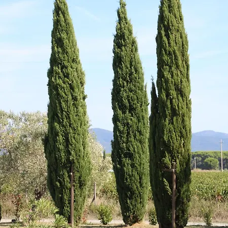 Appartement Podere Campo Alle Serpi