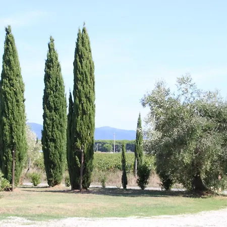 Podere Campo Alle Serpi Appartement *